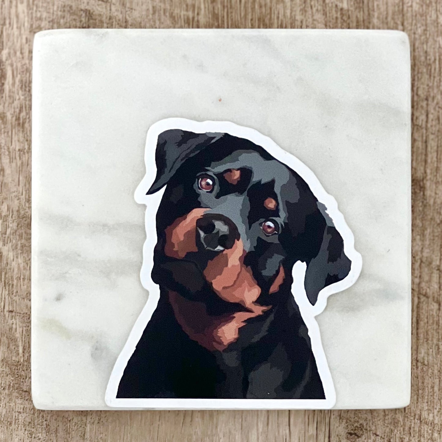 Rottweiler tilting head sticker, 3", die cut, waterproof, vinyl