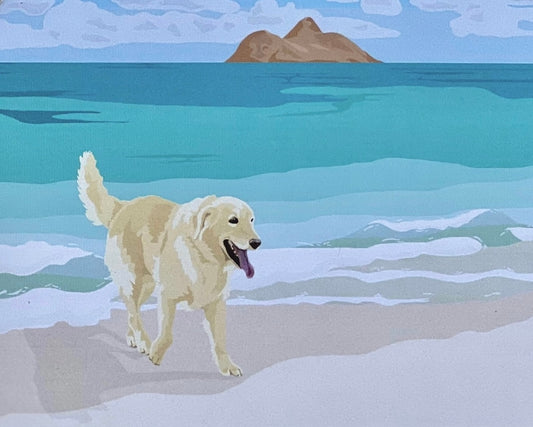 Golden Retriever at Lanikai Beach