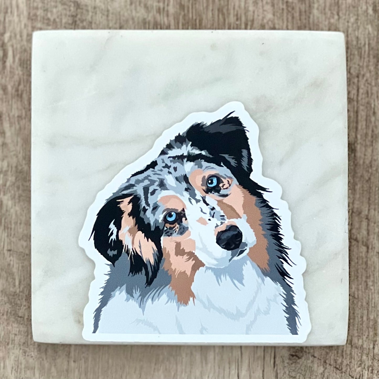 Australian shepherd tilting head sticker, 3", die cut, waterproof, vinyl