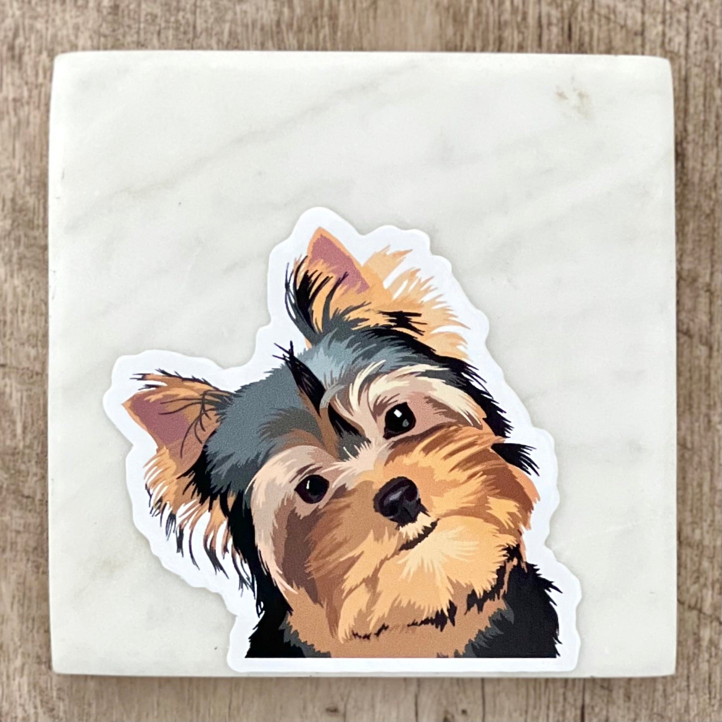 Yorkshire terrier tilting head sticker, 3", die cut, waterproof, vinyl
