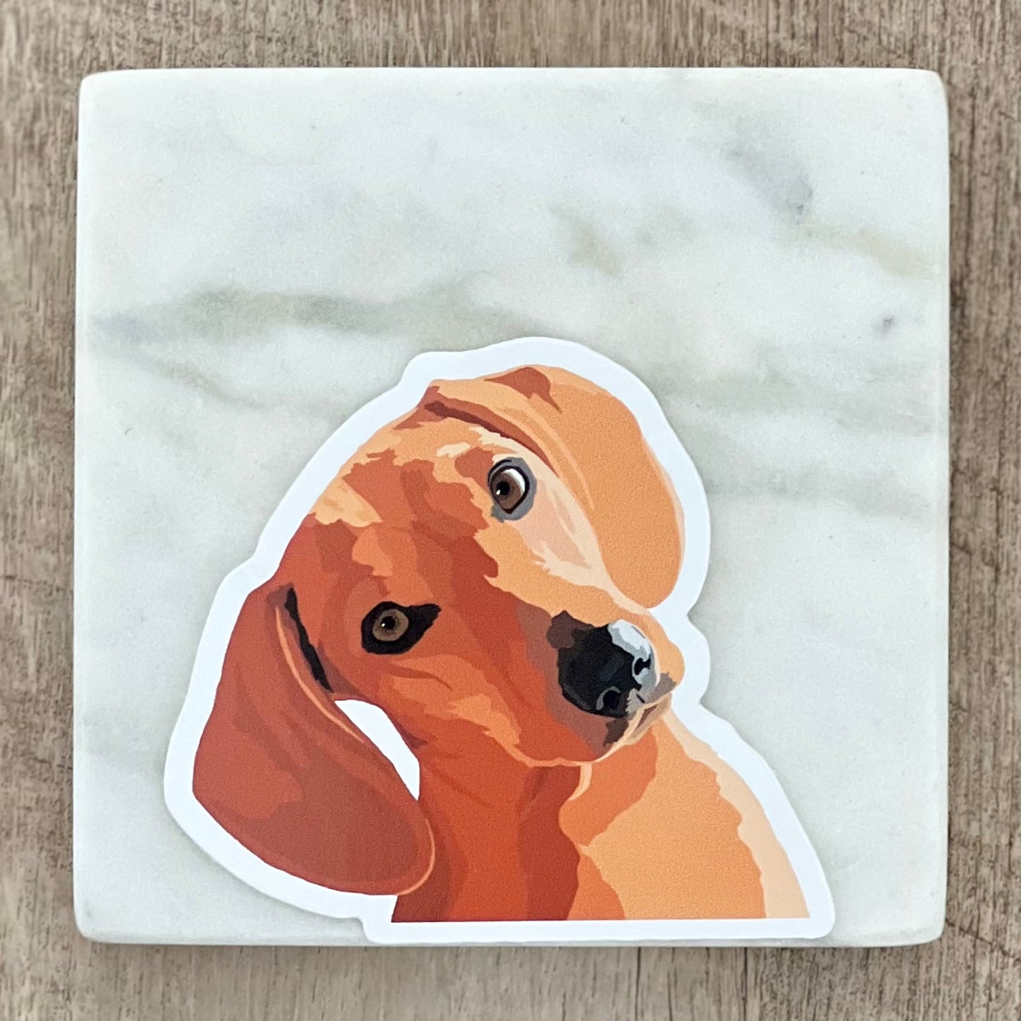 Dachshund tilting head Sticker, 3", die cut, waterproof, vinyl