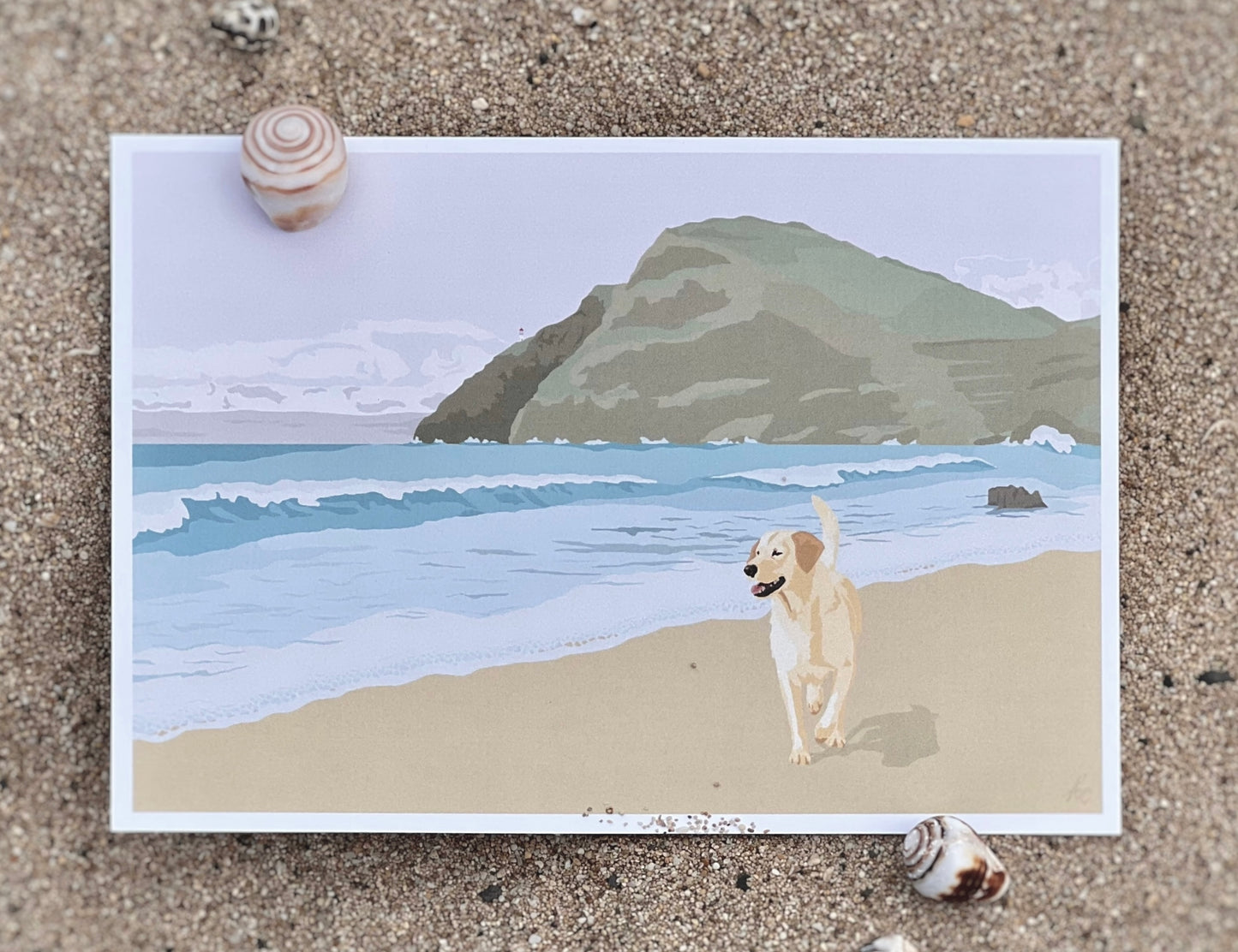 5"x7" color print of Lab at Makapu'u beach, Oahu