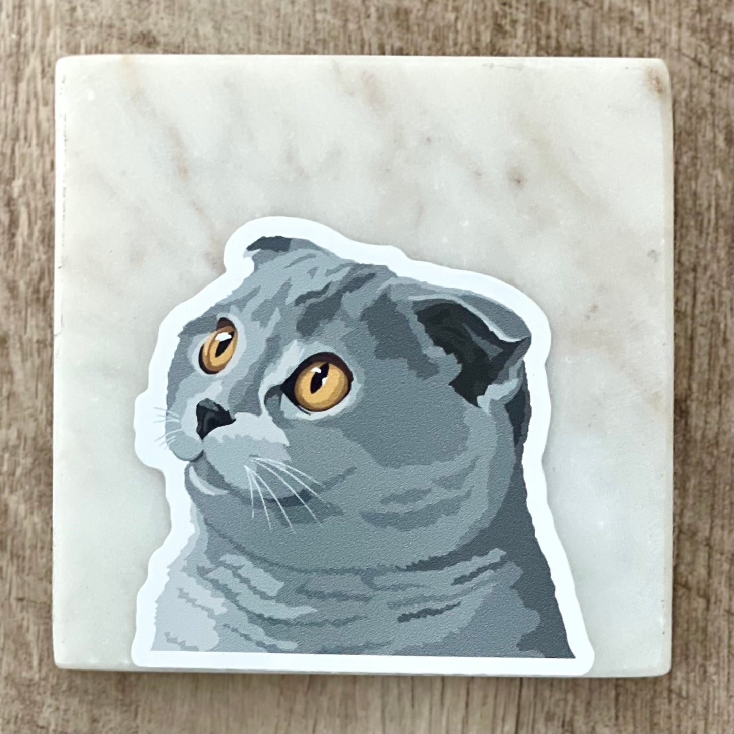 Scottish fold cat sticker, 3", die cut, waterproof, vinyl