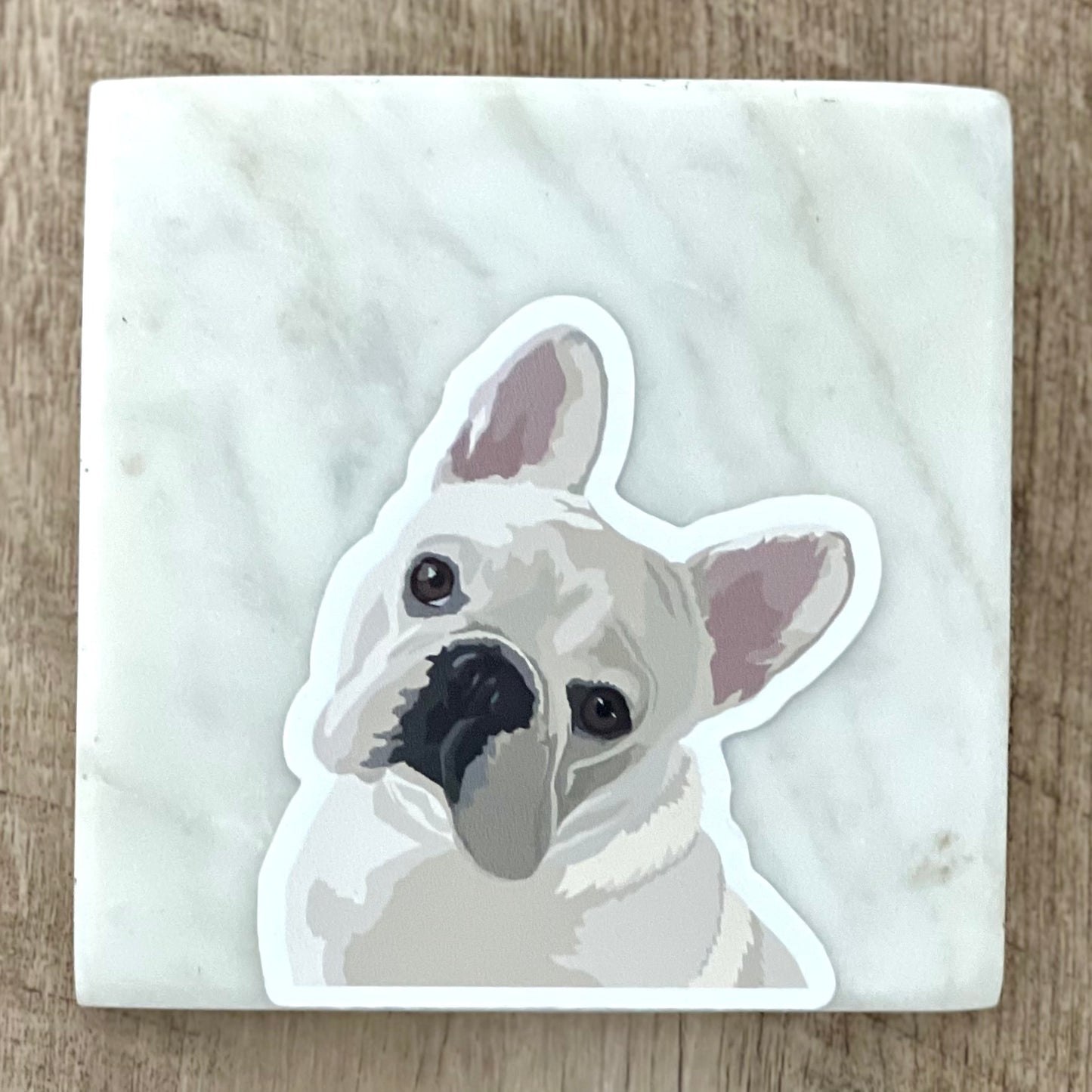 French bull dog tilting head Sticker, 3", die cut, waterproof, vinyl
