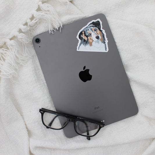 Australian shepherd sticker on iPad