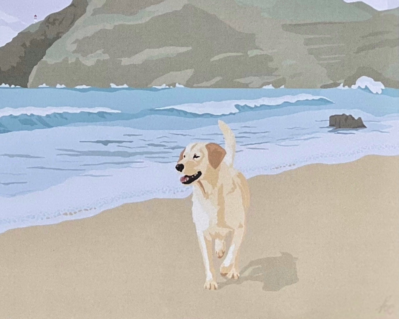 Lab at Makapu'u Beach