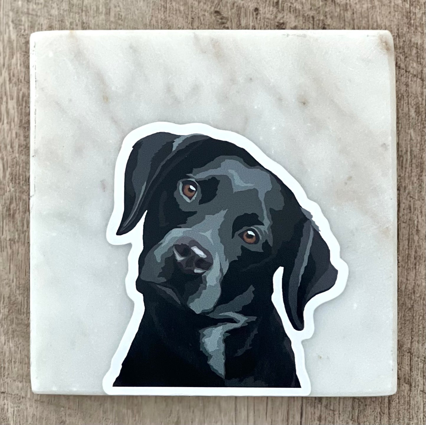 Black lab tilting head sticker, 3", die cut, waterproof, vinyl