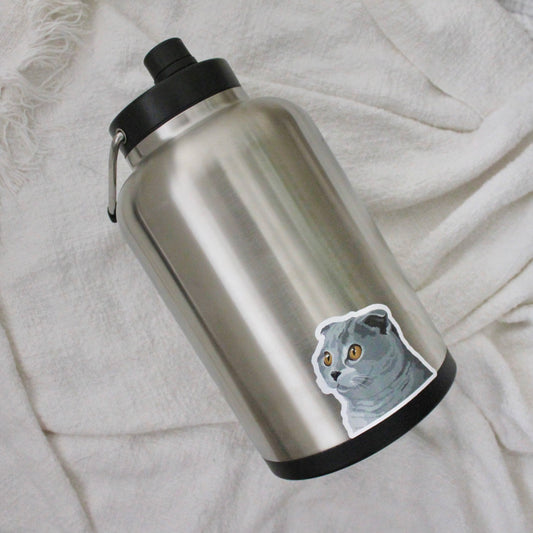 Scottish fold sticker on hydro flask