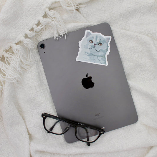 Exotic shorthair cat sticker on iPad