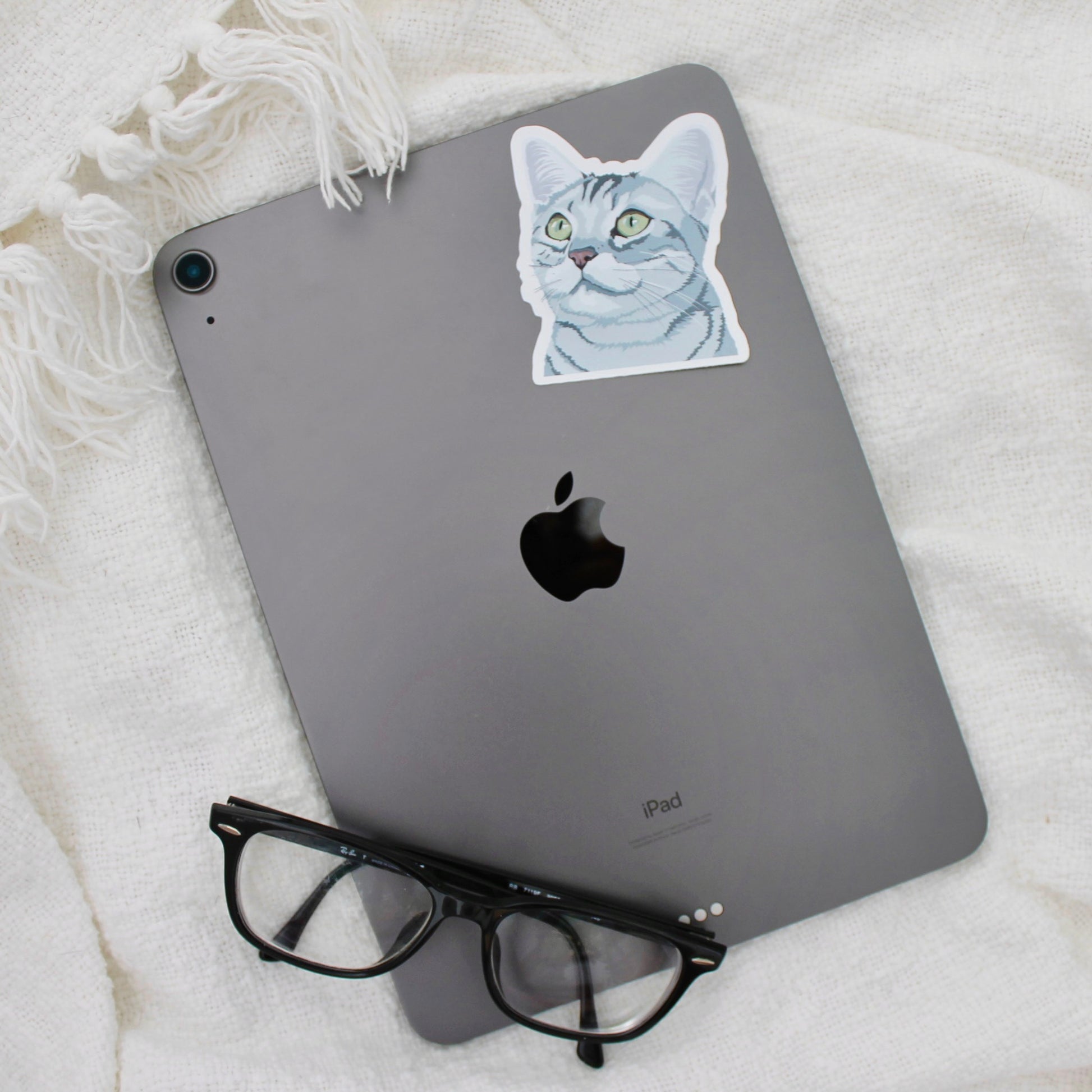 American shorthair cat sticker on ipad