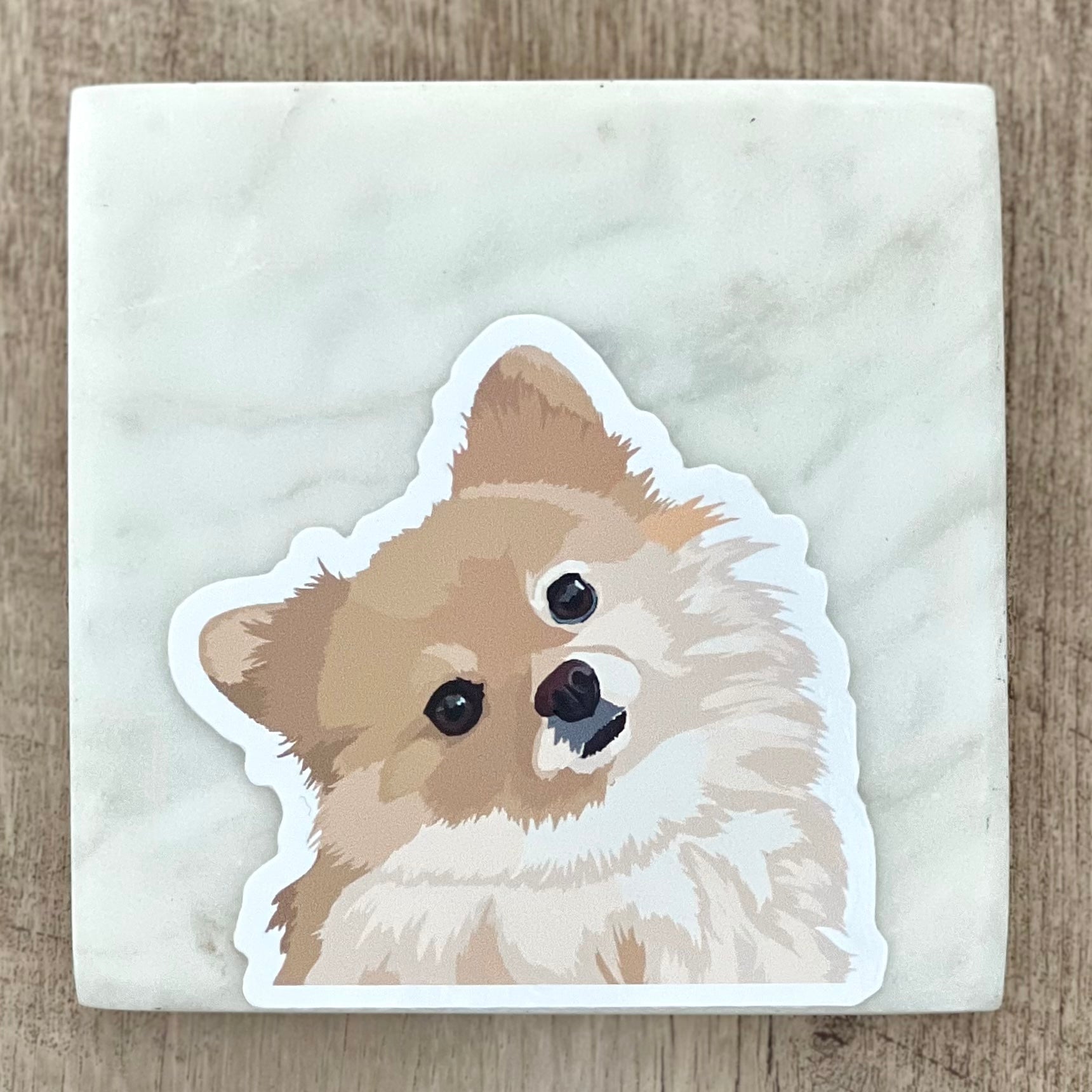 Pomeranian titling head sticker, 3", die cut, waterproof, vinyl