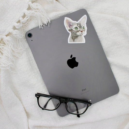 Devon Rex cat sticker on iPad