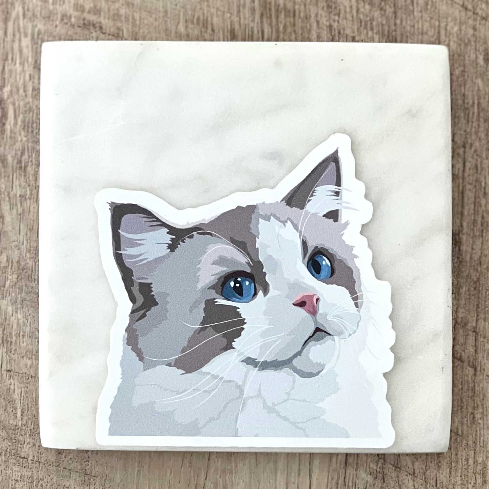 Rag cat sticker, 3", die cut, waterproof, vinyl