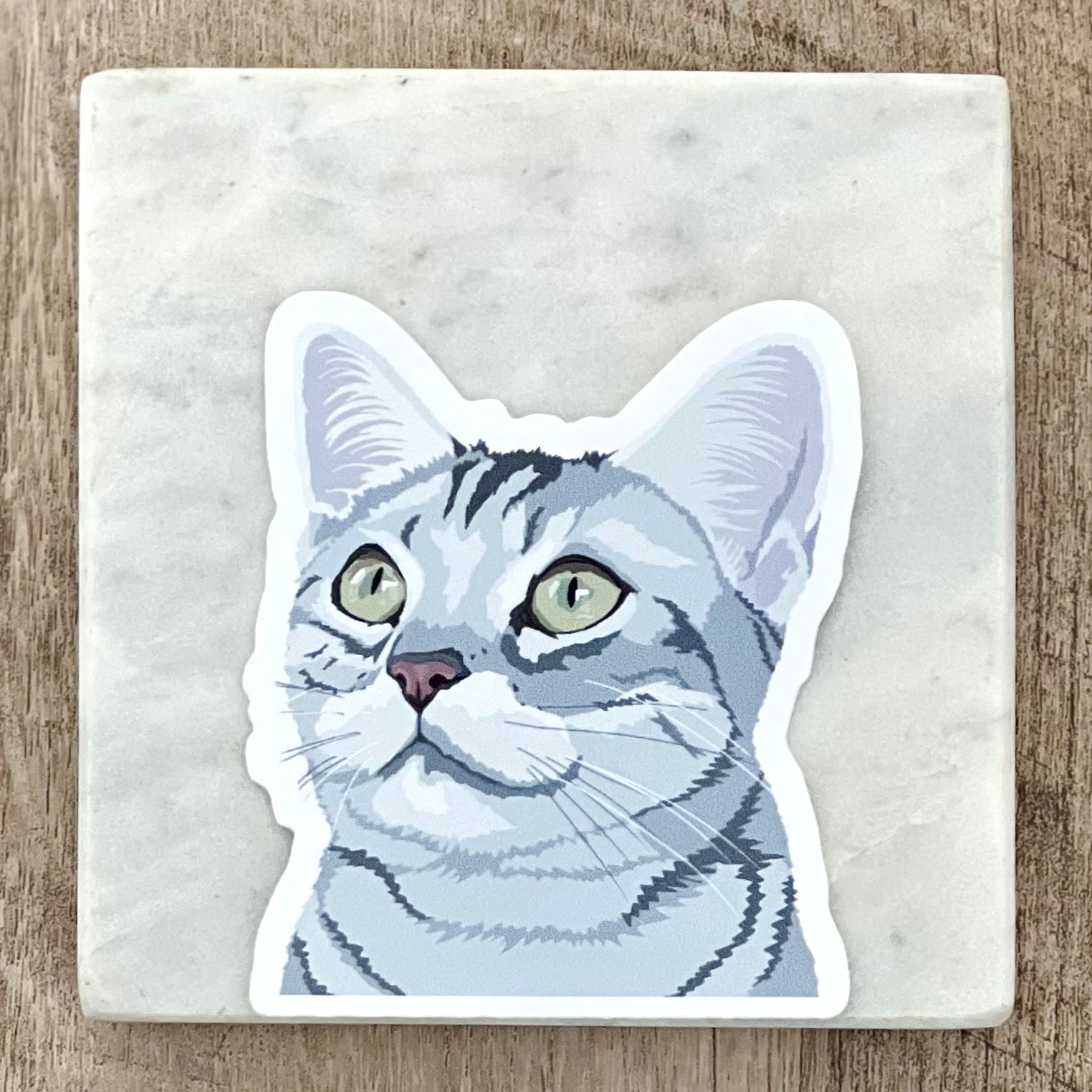 American shorthair cat sticker, 3", die cut, waterproof, vinyl