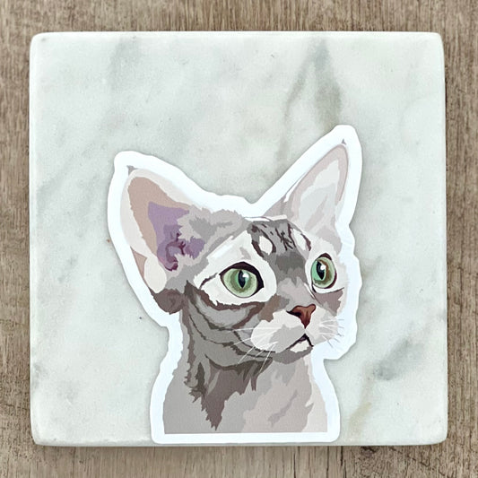Devon Rex cat sticker, 3", die cut, waterproof, vinyl