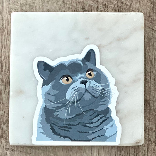 British shorthair cat sticker, 3", die cut, waterproof, vinyl