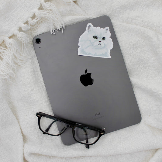 Persian cat sticker on iPad