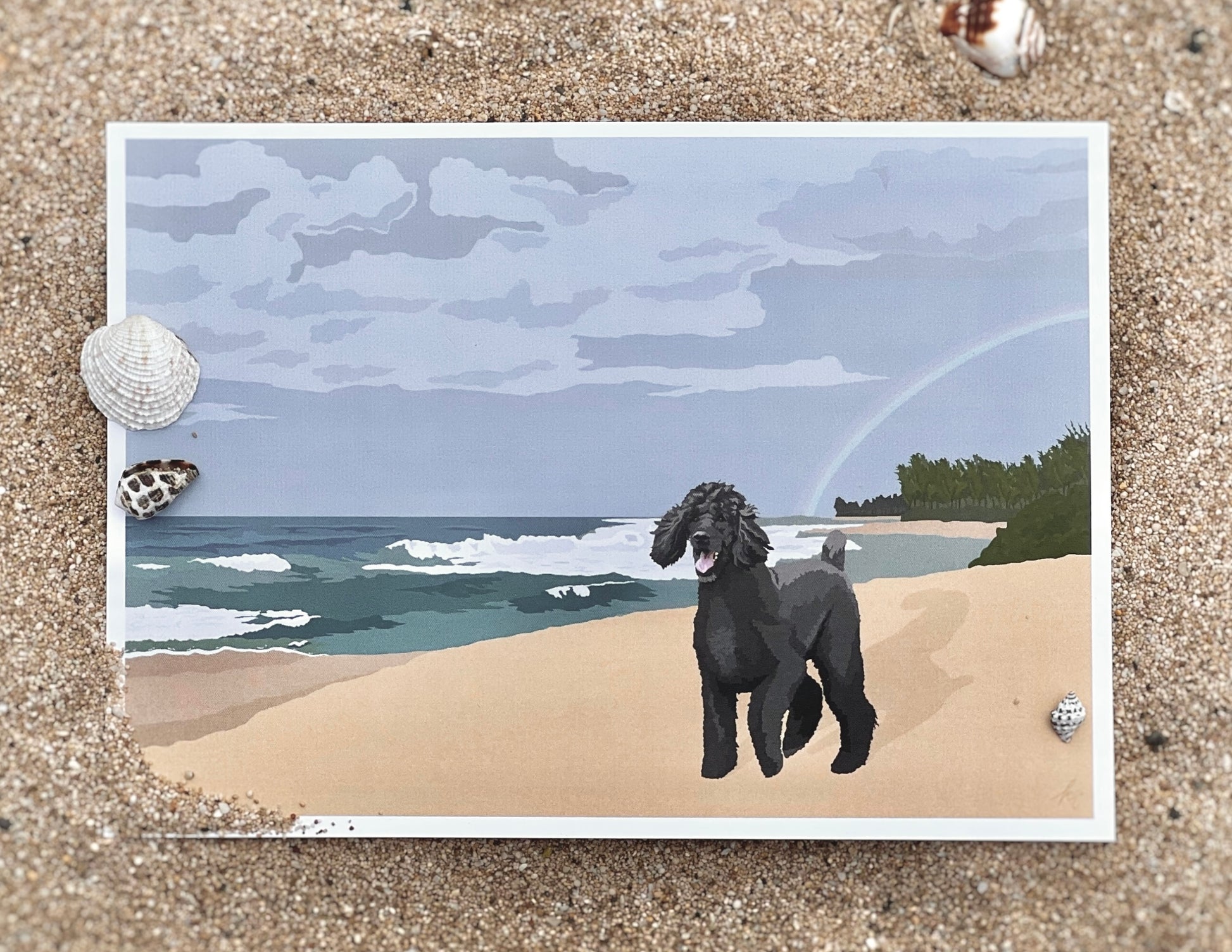 5"x7" color print of Poodle at Sunset Beach