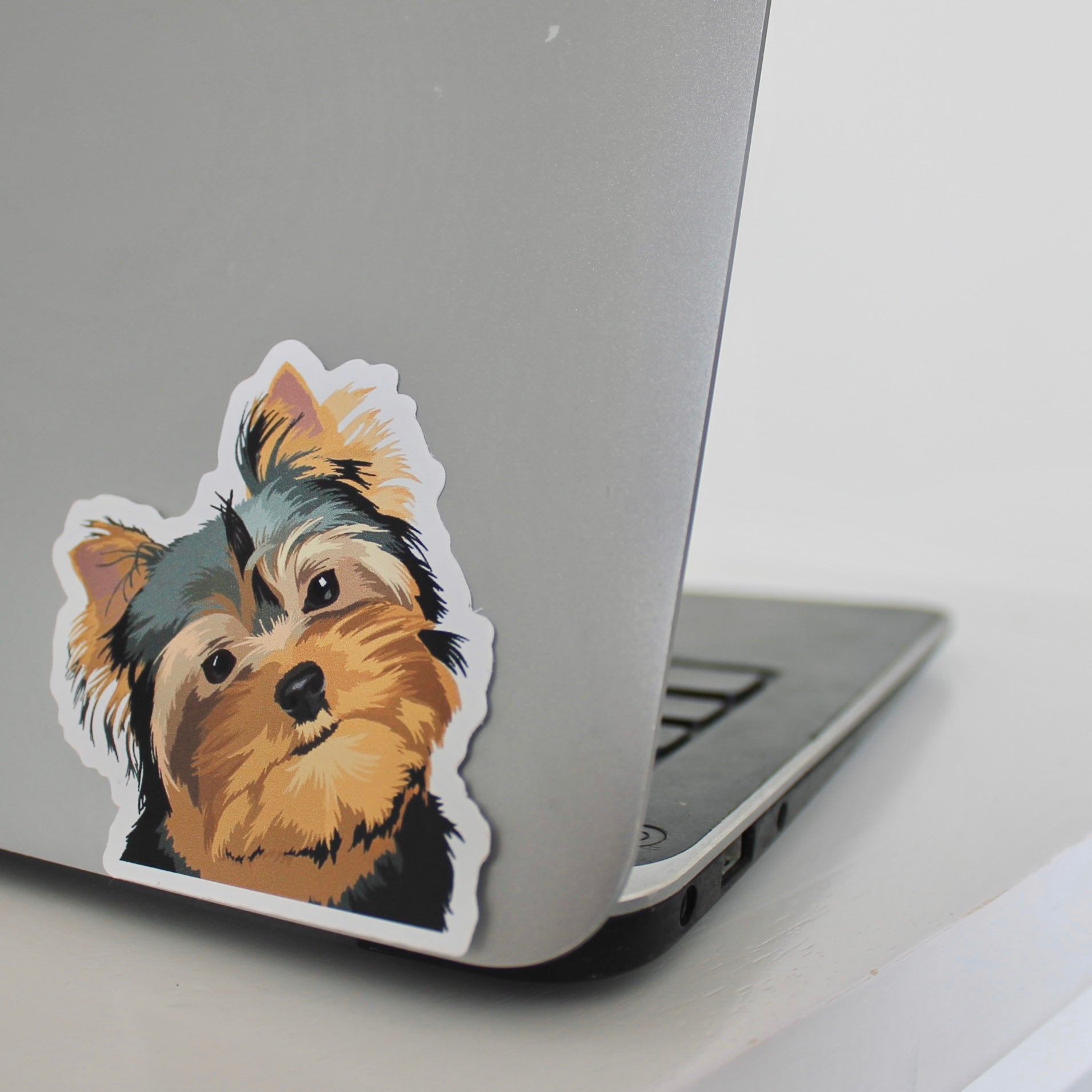 Yorkshire terrier on laptop
