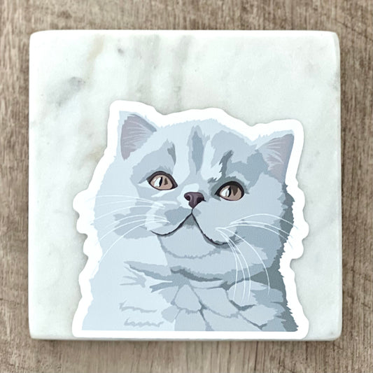 Exotic shorthair cat sticker, 3", die cut, waterproof, vinyl