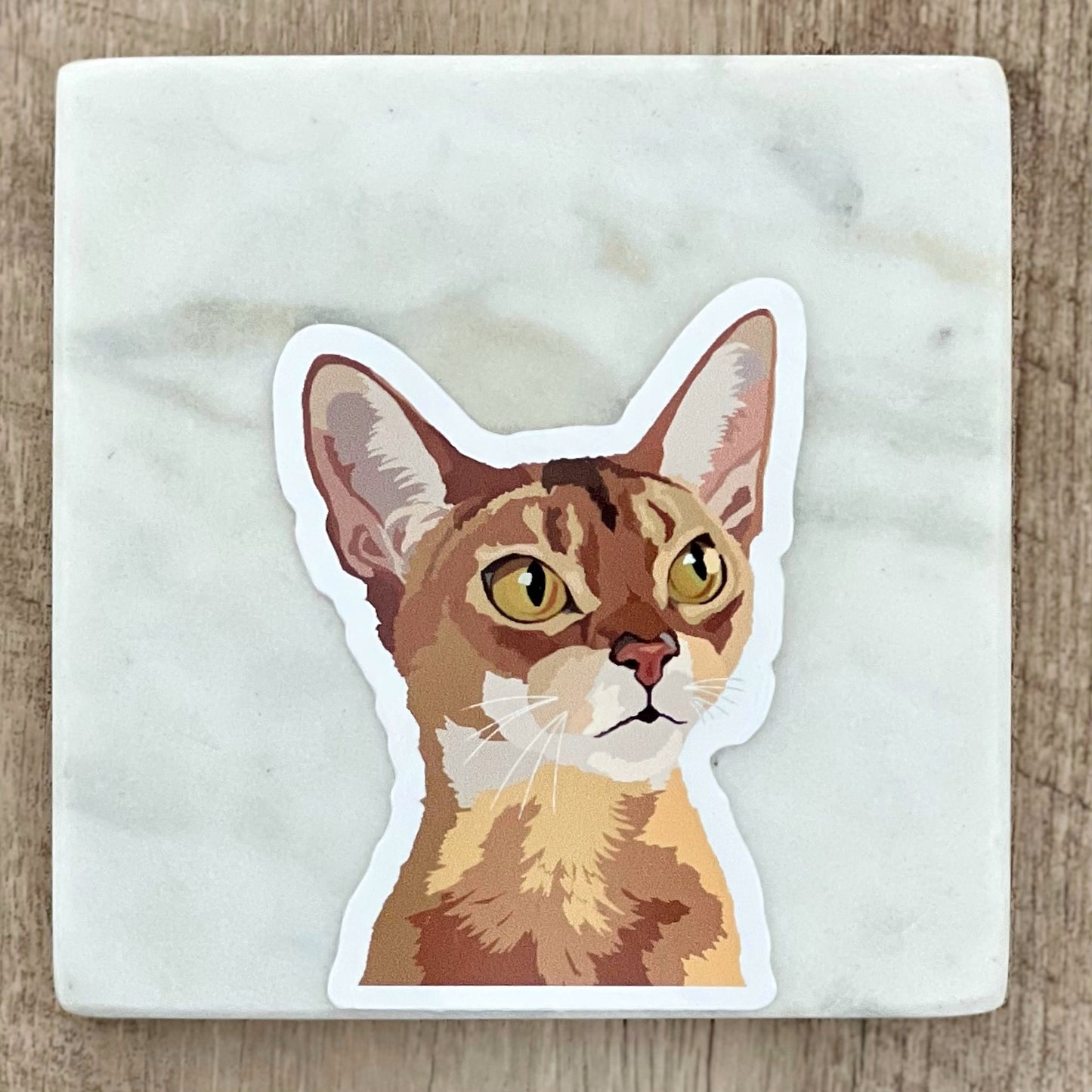 Abyssinian cat sticker, 3", die cut, waterproof, vinyl