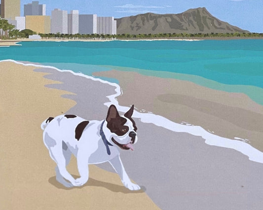French Bulldog at Waikiki Beach