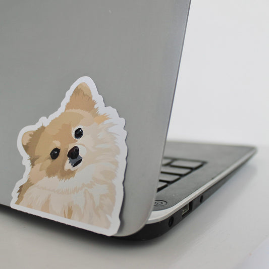 Pomeranian sticker on laptop