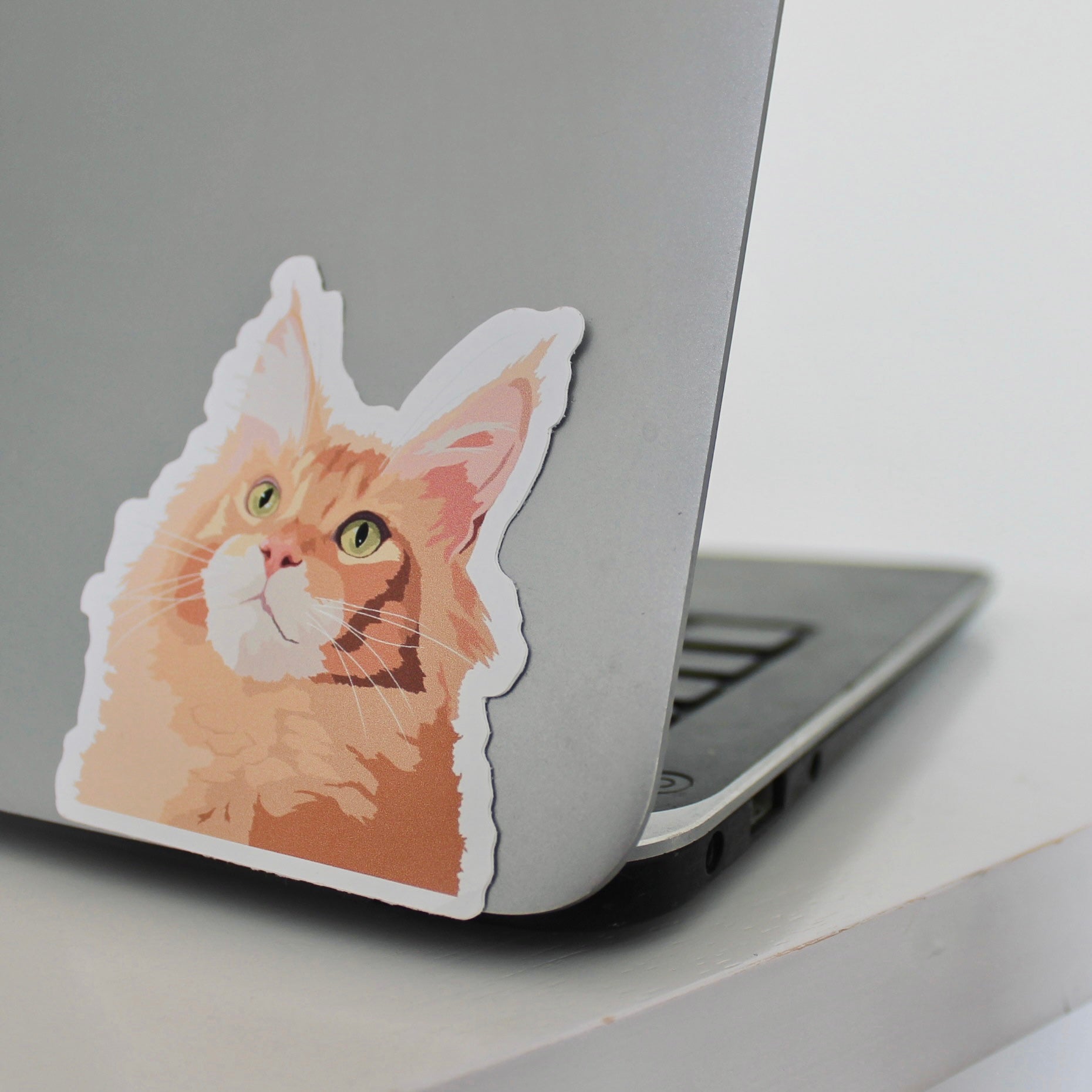 Maine coon sticker on laptop