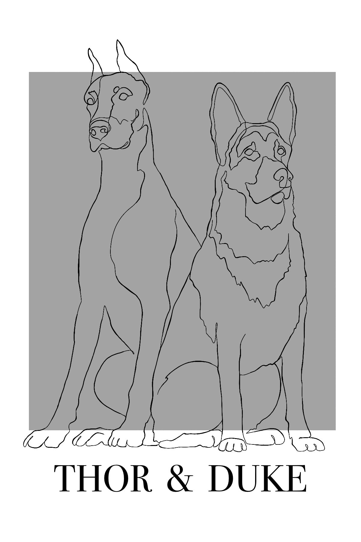 Hand-drawn digital line portrait of a Doberman and German shepherd